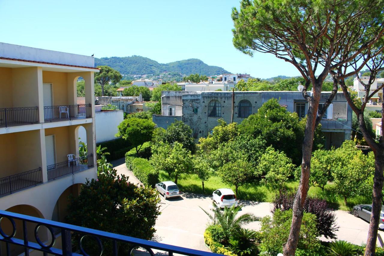 Hotel Terme Alexander 이스키아 외부 사진